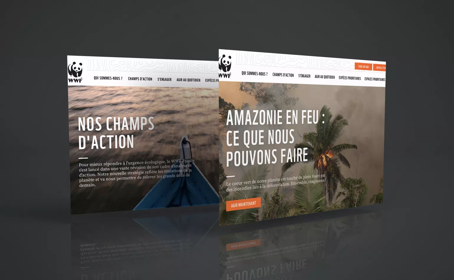 Actency - Référence _ WWF